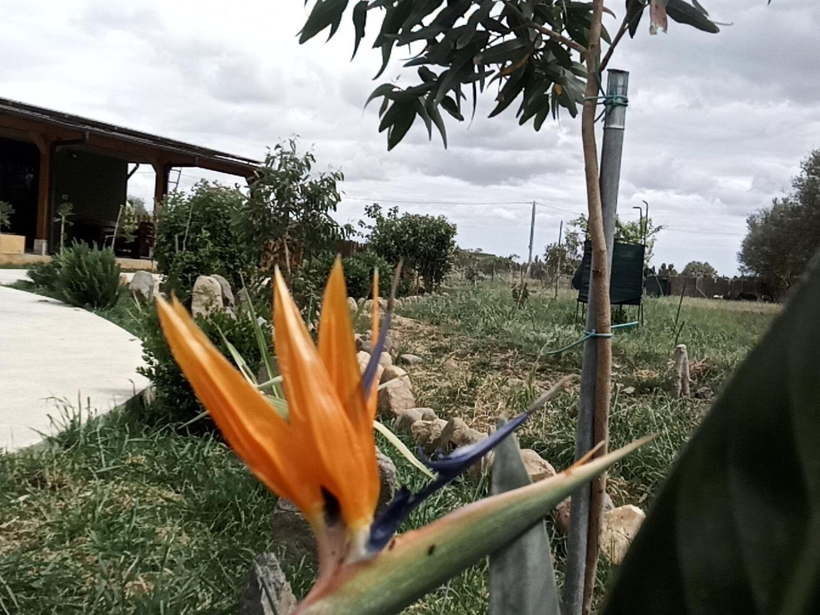 Podere Kiri Dome Experience Decimomannu Luaran gambar